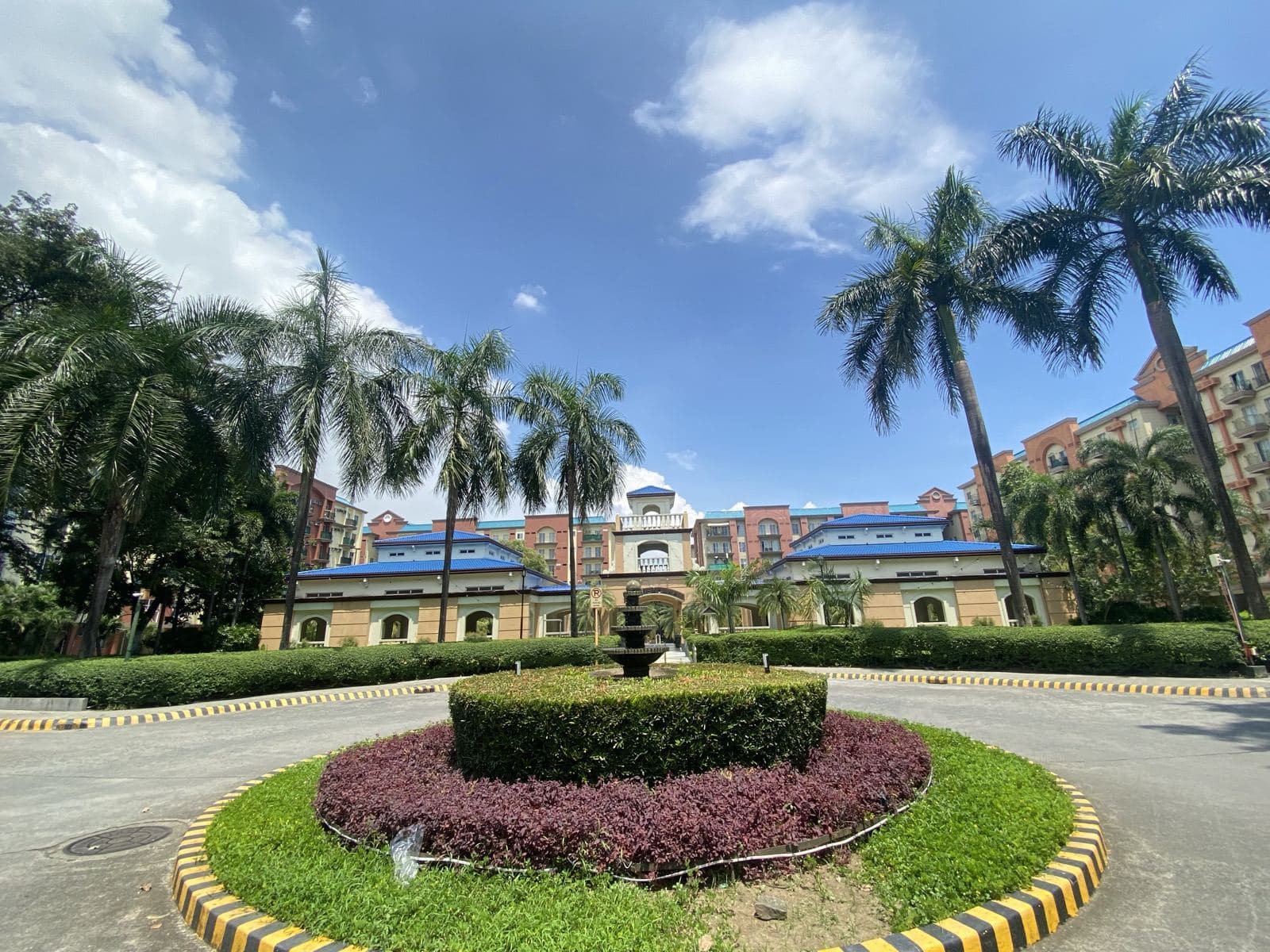 The clubhouse driveway, lined with palms